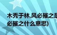 木秀于林,风必摧之是什么意思?(木秀于林风必摧之什么意思)