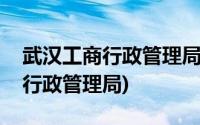 武汉工商行政管理局官网查询企业(武汉工商行政管理局)