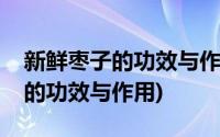 新鲜枣子的功效与作用及常用方法(新鲜枣子的功效与作用)