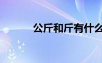 公斤和斤有什么区别(公斤和斤)