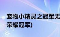 宠物小精灵之冠军无弹窗阅读(宠物小精灵之荣耀冠军)