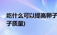 吃什么可以提高卵子质量(吃什么可以提高卵子质量)