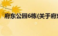 府东公园6栋(关于府东公园6栋当前房价介绍)