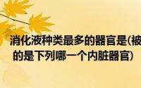 消化液种类最多的器官是(被称为人体 ldquo 化工厂 rdquo 的是下列哪一个内脏器官)