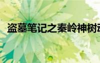 盗墓笔记之秦岭神树动漫(盗墓笔记之墨吟)