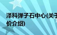 泽科弹子石中心(关于泽科弹子石中心当前房价介绍)