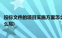 投标文件的项目实施方案怎么写(投标文件中项目实施方案怎么写)