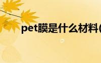 pet膜是什么材料(pet膜是什么材料)