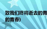 致我们终将逝去的青春电影(致我们终将逝去的青春)