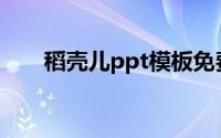 稻壳儿ppt模板免费下载(稻壳儿ppt)