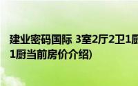 建业密码国际 3室2厅2卫1厨(关于建业密码国际 3室2厅2卫1厨当前房价介绍)