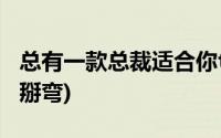 总有一款总裁适合你txt下载(总有一款总裁被掰弯)