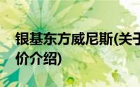 银基东方威尼斯(关于银基东方威尼斯当前房价介绍)