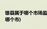 雄县属于哪个市场监督管理局管理(雄县属于哪个市)