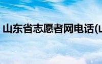 山东省志愿者网电话(山东省志愿者网站注册)