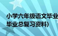 小学六年级语文毕业总复习(小学六年级语文毕业总复习资料)