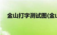 金山打字测试图(金山打字测试在线测试)