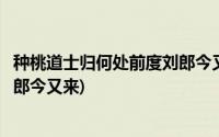 种桃道士归何处前度刘郎今又来意思(种桃道士归何处前度刘郎今又来)