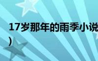 17岁那年的雨季小说(17岁那年的雨季吉他谱)