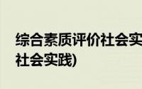 综合素质评价社会实践怎么填(综合素质评价社会实践)