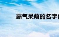 霸气呆萌的名字(起个呆萌的名字)