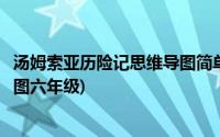 汤姆索亚历险记思维导图简单又好看(汤姆索亚历险记思维导图六年级)