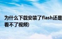 为什么下载安装了flash还是不能播放视频(安装了flash还是看不了视频)