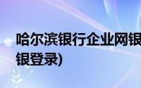 哈尔滨银行企业网银操作(哈尔滨银行企业网银登录)