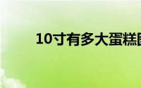 10寸有多大蛋糕图片(10寸有多大)