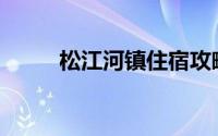 松江河镇住宿攻略(松江河镇住宿)