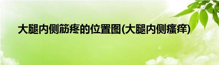 大腿内侧筋疼的位置图 大腿内侧瘙痒