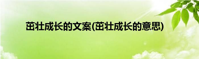 茁壮成长的文案 茁壮成长的意思