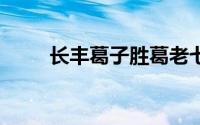 长丰葛子胜葛老七(cfg桩施工方案)