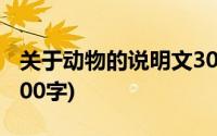 关于动物的说明文300字(关于动物的说明文300字)