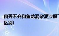 良莠不齐和鱼龙混杂泥沙俱下的区别(良莠不齐和鱼龙混杂的区别)