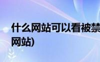 什么网站可以看被禁动漫(可以看被禁动漫的网站)