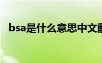 bsa是什么意思中文翻译(BSA是什么意思)