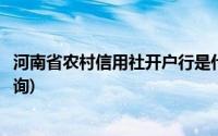 河南省农村信用社开户行是什么(河南省农村信用社开户行查询)