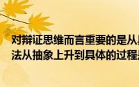 对辩证思维而言重要的是从具体上升到抽象(19 辩证思维方法从抽象上升到具体的过程是( ))