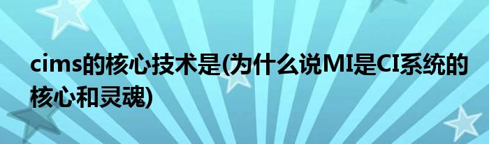 cims的核心技术是 为什么说MI是CI系统的核心和灵魂