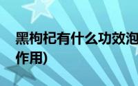 黑枸杞有什么功效泡水(黑枸杞有什么功效与作用)