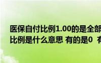 医保自付比例1.00的是全部自付吗(住院清单上的医保自付比例是什么意思 有的是0 有的是25 有的)