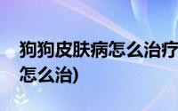 狗狗皮肤病怎么治疗能彻底根除(狗狗皮肤病怎么治)