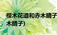 樱木花道和赤木晴子情侣图片(樱木花道和赤木晴子)