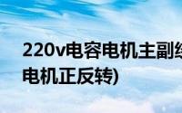 220v电容电机主副绕组怎么区分(220v电容电机正反转)