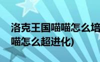 洛克王国喵喵怎么培育冰系技能(洛克王国喵喵怎么超进化)