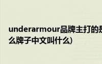 underarmour品牌主打的是什么系列(underarmour是什么牌子中文叫什么)