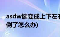 asdw键变成上下左右(上下左右键和asdw颠倒了怎么办)