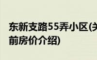 东新支路55弄小区(关于东新支路55弄小区当前房价介绍)