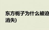 东方栀子为什么被迫消失(东方栀子为什么会消失)